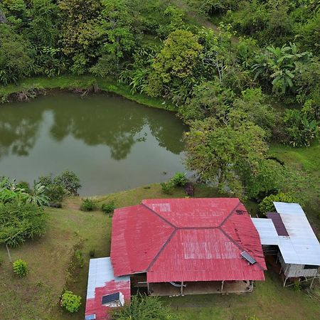 Albergue La Laguna Puerto Jiménez 外观 照片