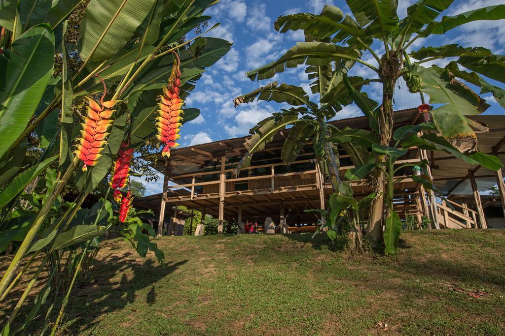 Albergue La Laguna Puerto Jiménez 外观 照片